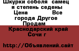 Шкурки соболя (самец) 1-я степень седены › Цена ­ 12 000 - Все города Другое » Продам   . Краснодарский край,Сочи г.